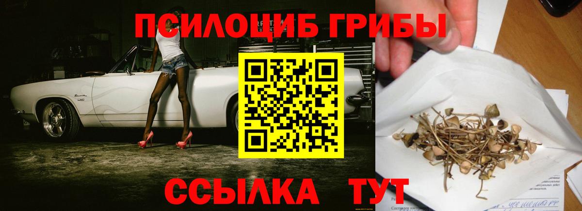 Волжск  Галлюциногенные грибы прущие грибы  Галлюциногенные грибы Psilocybine cubensis  Вход с VPN 